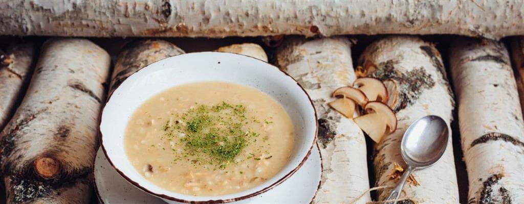 Hotel Rogla – Green Holidays