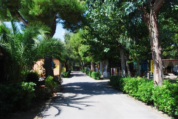 VERDE CUPRA – Cupra Marittima