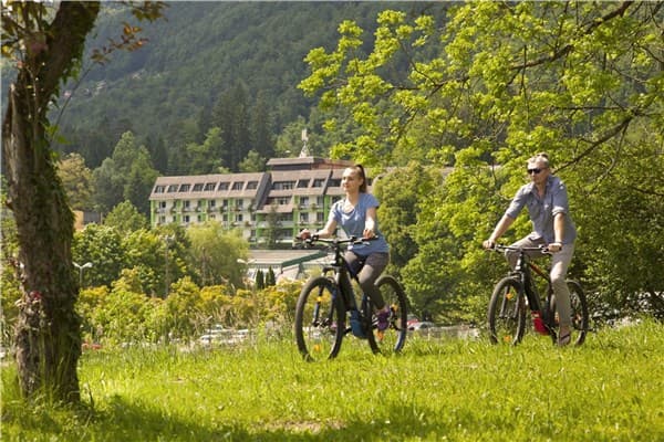 VESNA – Terme Topolšica