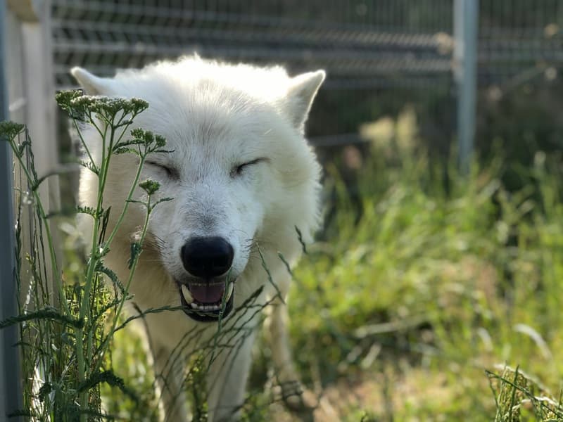 Zážitková noc v zoo