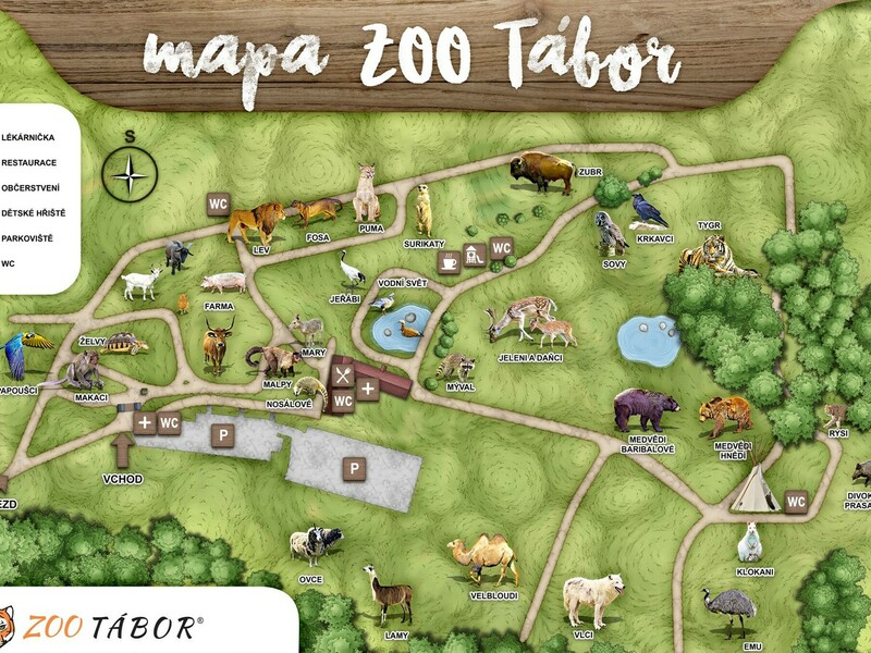 Zážitková noc v zoo
