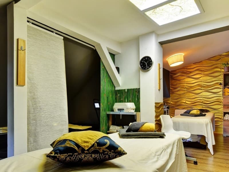 Pobyt ve wellness hotelu DaVinci
