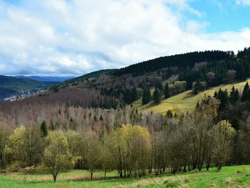 Wellness Hotel Hasištejn: Cyklo/běžkařský pobyt pro 2