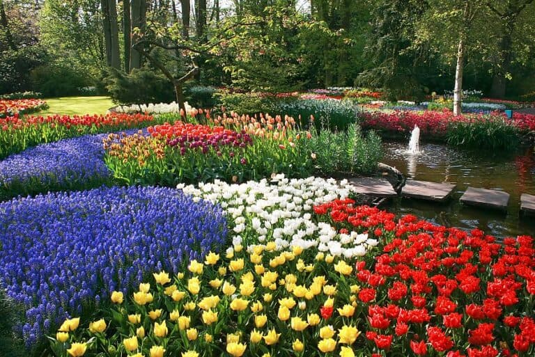 To nejlepší z Amsterdamu + KVĚTINOVÁ ZAHRADA KEUKENHOF