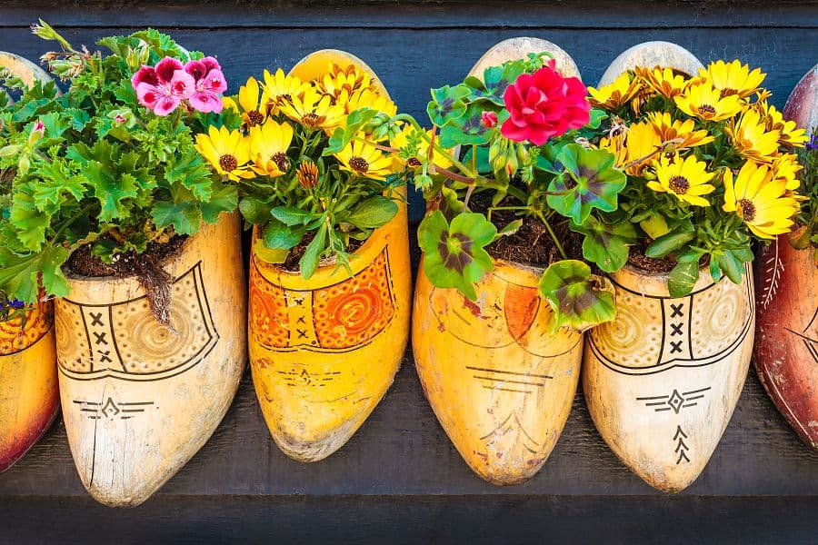 To nejlepší z Amsterdamu + KVĚTINOVÁ ZAHRADA KEUKENHOF