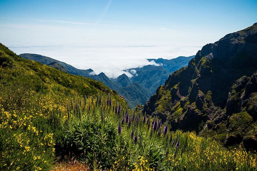 To nejlepší z Madeiry + KOUPÁNÍ NA OSTROVĚ PORTO SANTO
