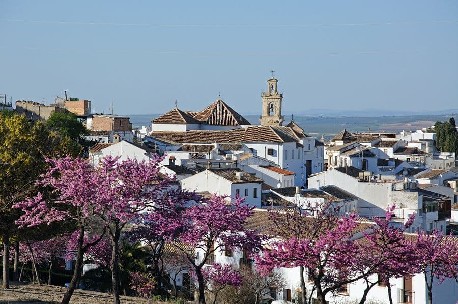 To nejlepší z Andalusie + GIBRALTAR + KOUPÁNÍ NA POBŘEŽÍ COSTA DEL SOL