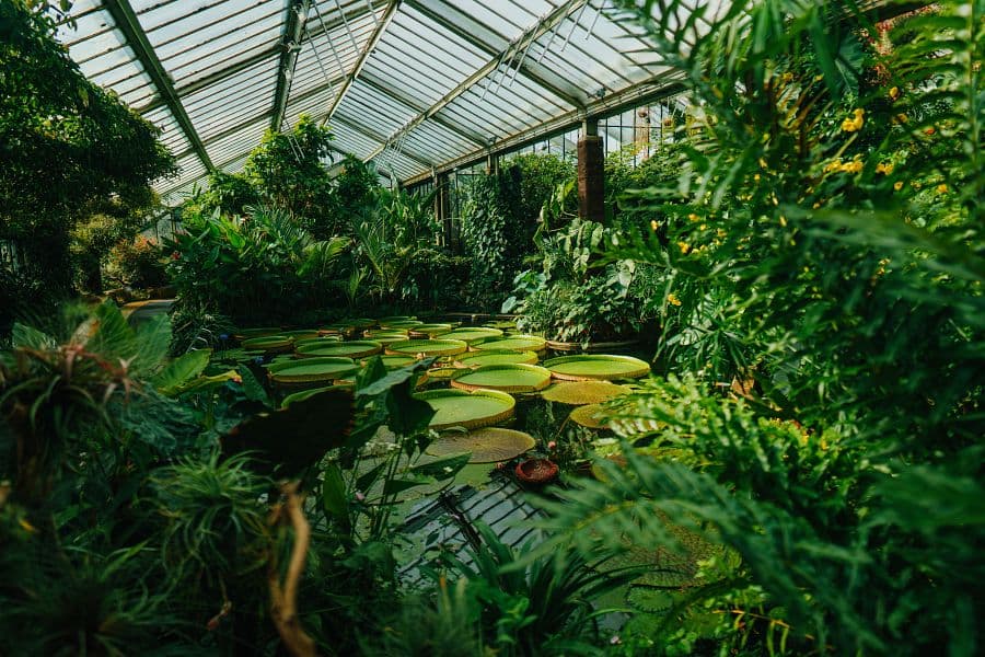 Londýn a Edinburgh + PANORAMATICKÁ JÍZDA VLAKEM NAPŘÍČ SKOTSKEM A ANGLIÍ