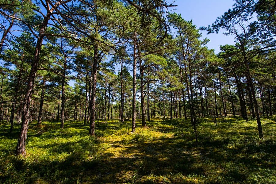 To nejlepší ze Stockholmu + PLAVBA PO STOCKHOLMSKÉM SOUOSTROVÍ