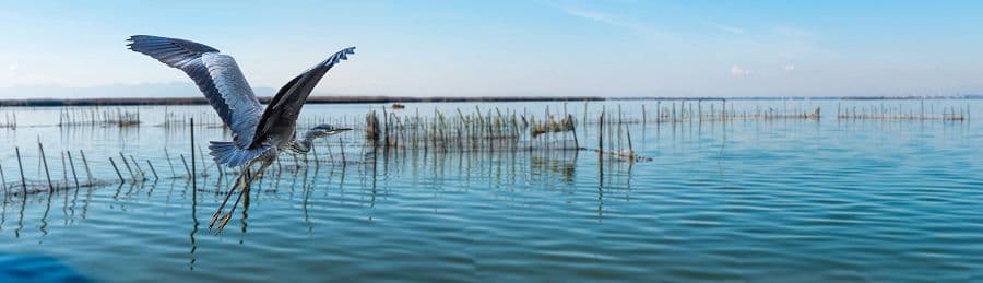 To nejlepší z Valencie + JEZERO ALBUFERA + PLÁŽ LAS ARENAS