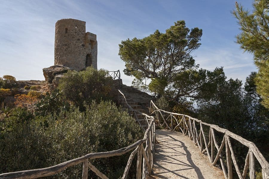 Relax na plážích Mallorky + POBŘEŽNÍ PLAVBA LODÍ + JARDINES DE ALFABIA