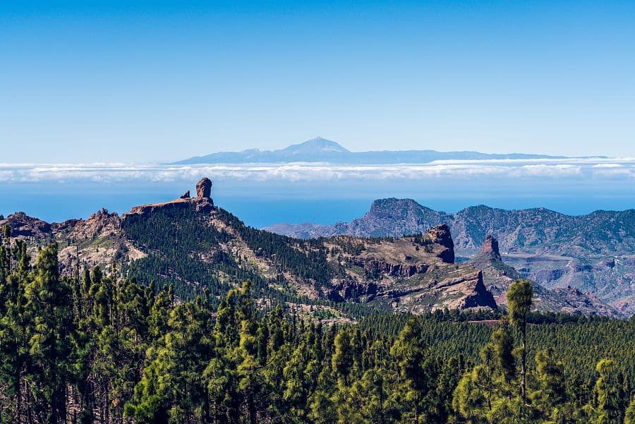 To nejlepší z ostrova Gran Canaria + DUNY V MASPALOMAS + MOŘE