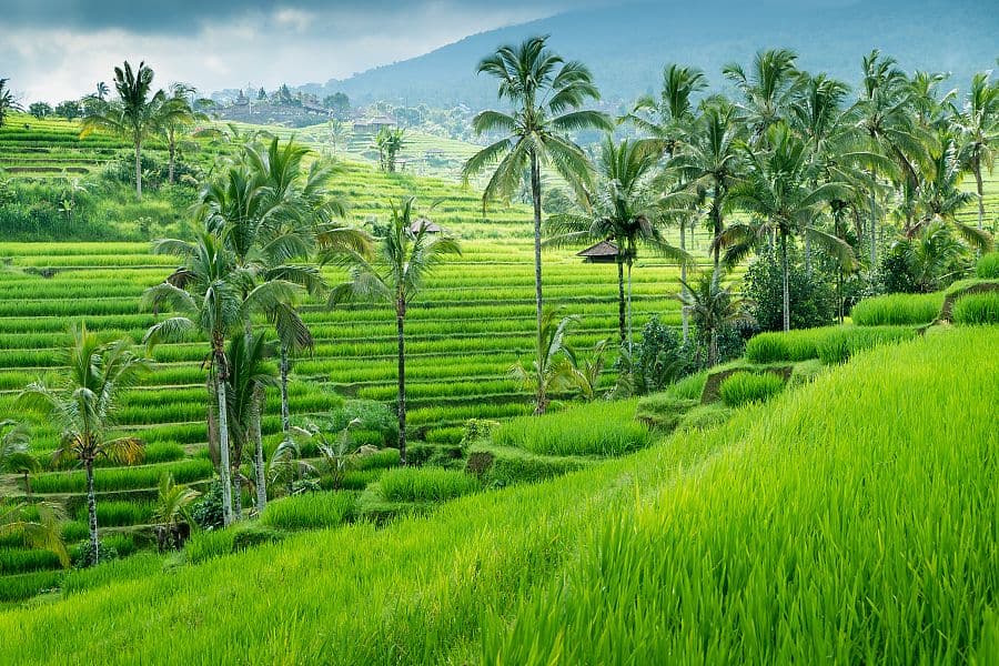 To nejlepší z Bali + VULKÁN BROMO NA JÁVĚ + LEMBONGSKÉ OSTROVY