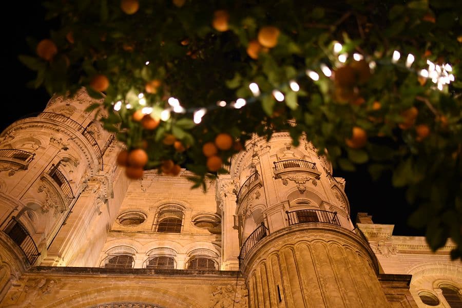 Adventní Málaga + VÁNOČNÍ SVĚTELNÁ BOTANICKÁ ZAHRADA