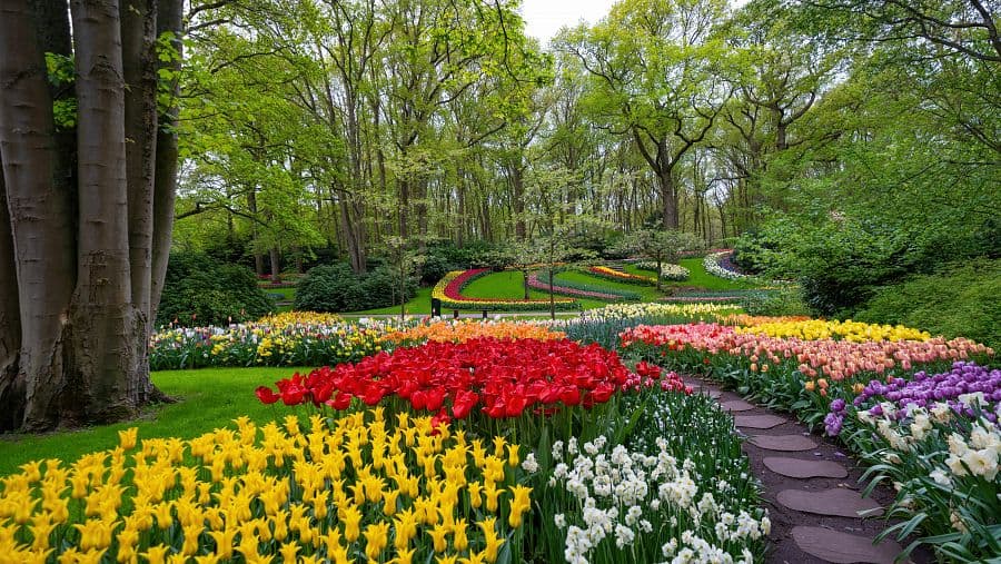 Velikonoční Amsterdam + KVĚTINOVÁ ZAHRADA KEUKENHOF + SLAVNÁ MUZEA