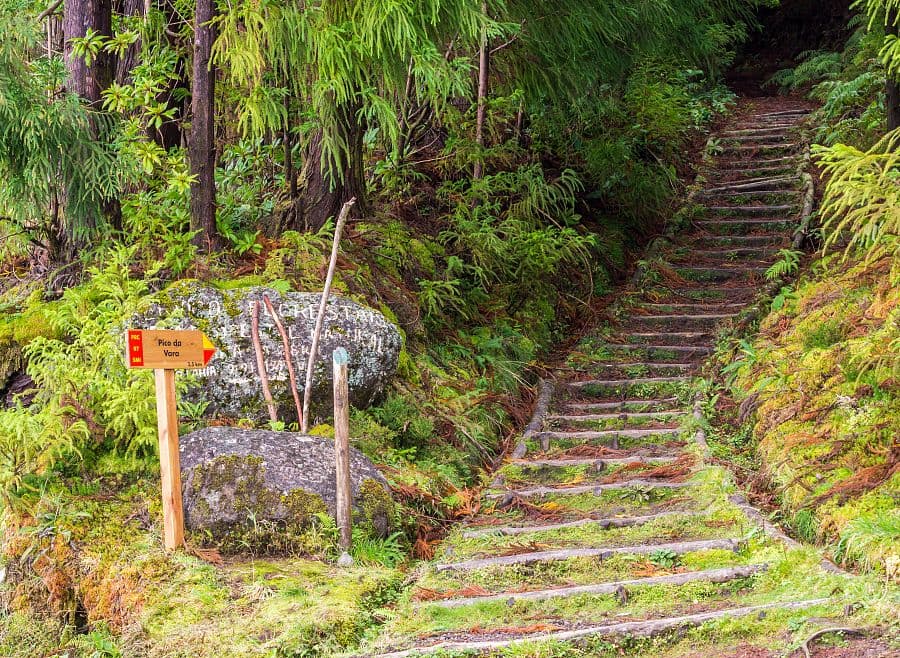 To nejlepší z ostrovů São Miguel a Terceira + TURISTIKA + AZORSKÁ GASTRONOMIE
