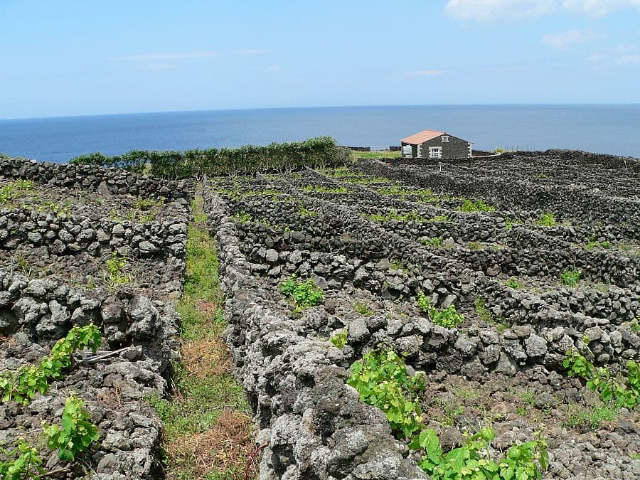 To nejlepší z ostrovů São Miguel a Terceira + TURISTIKA + AZORSKÁ GASTRONOMIE