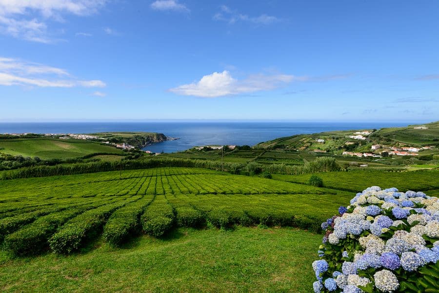 To nejlepší z ostrovů São Miguel a Terceira + TURISTIKA + AZORSKÁ GASTRONOMIE