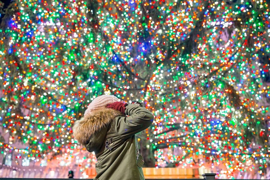 Adventní New York + PLAVBA K SOŠE SVOBODY + VÁNOČNÍ TRHY A NÁKUPY