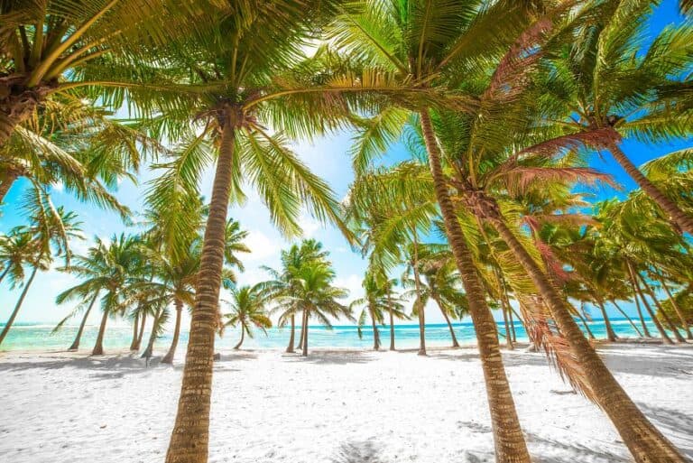 Relax na plážích Martiniku a Guadeloupe + PERLY FRANCOUZSKÝCH ANTIL + KREOLSKÁ K
