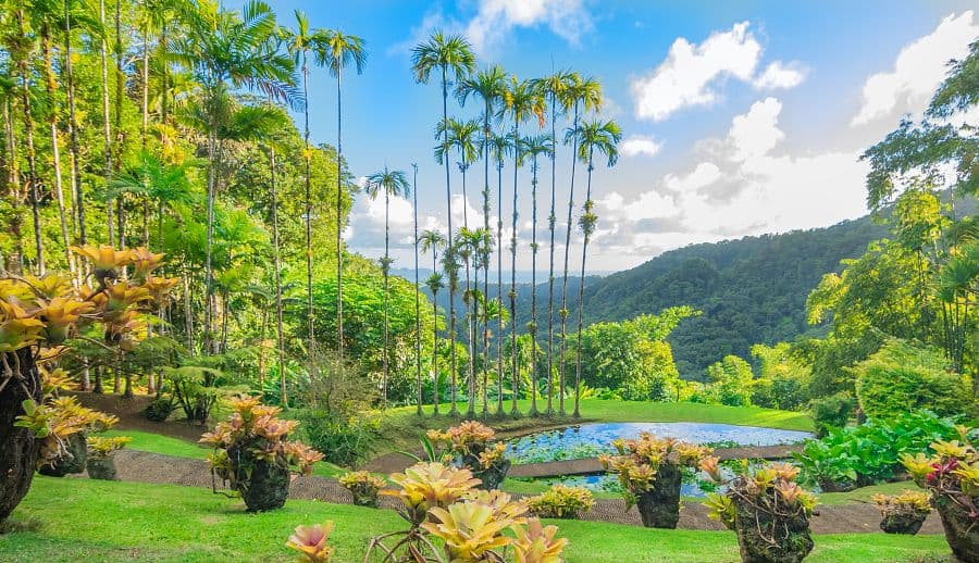 Relax na plážích Martiniku a Guadeloupe + PERLY FRANCOUZSKÝCH ANTIL + KREOLSKÁ K