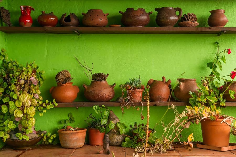 To nejlepší z ostrova La Gomera + TURISTIKA + SPECIALITY KANÁRSKÉ GASTRONOMIE