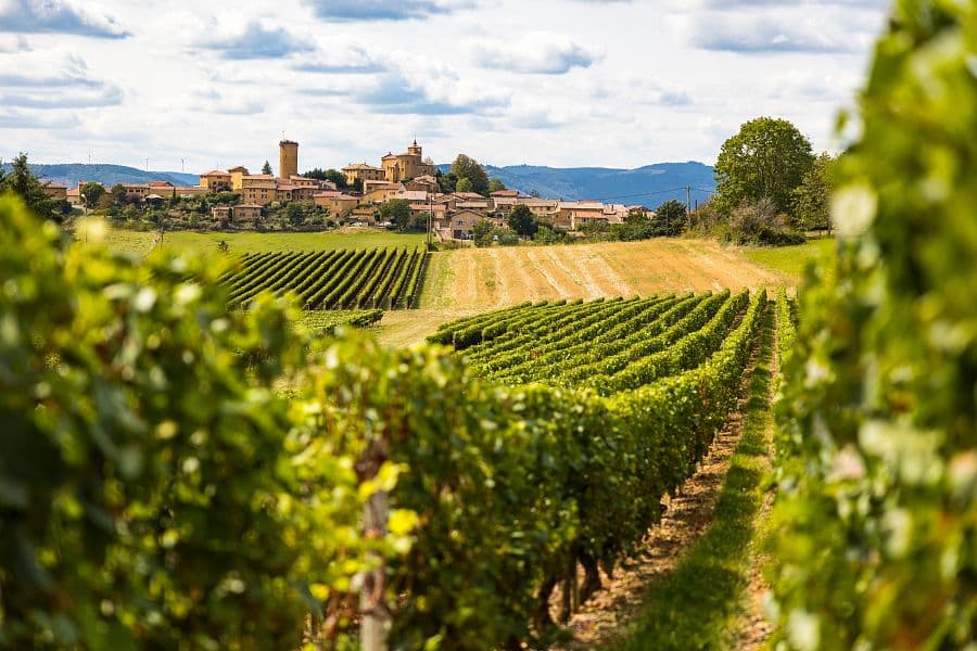 To nejkrásnější z Lyonu + STŘEDOVĚKÉ ANNECY + VINAŘSKÁ OBLAST BEAUJOLAIS