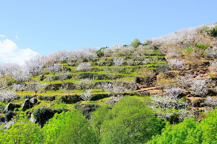 Španělská Extremadura + ŘÍMSKÉ DĚDICTVÍ + GURMÁNSKÉ TRADICE REGIONU