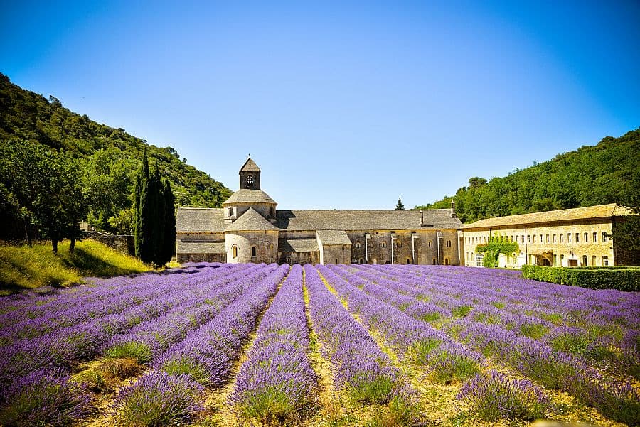 To nejkrásnější z Provence + LEVANDULOVÁ POLE + KOUPÁNÍ V ZÁTOKÁCH CALANQUES