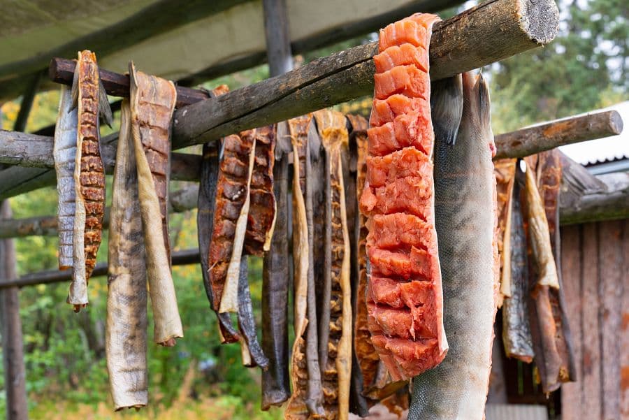 To nejlepší z Aljašky + DIVOKÁ FAUNA SEVERU + PLAVBA LEDOVCOVOU KRAJINOU
