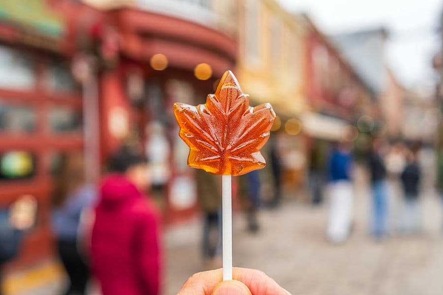 To nejlepší z New Yorku a Toronta + NIAGARSKÉ VODOPÁDY + JAVOROVÁ FARMA