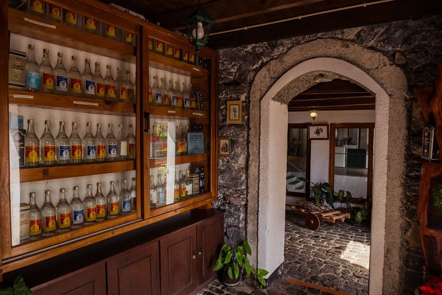 To nejlepší z Madeiry + OSTROVNÍ GASTRONOMIE + VÝLETNÍ PLAVBA NA PORTO SANTO