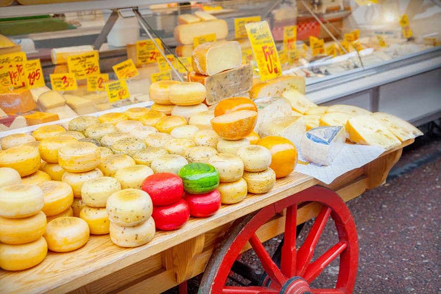 Holandské pobřeží na kole + AMSTERDAM + RODINNÁ KVĚTINOVÁ FARMA