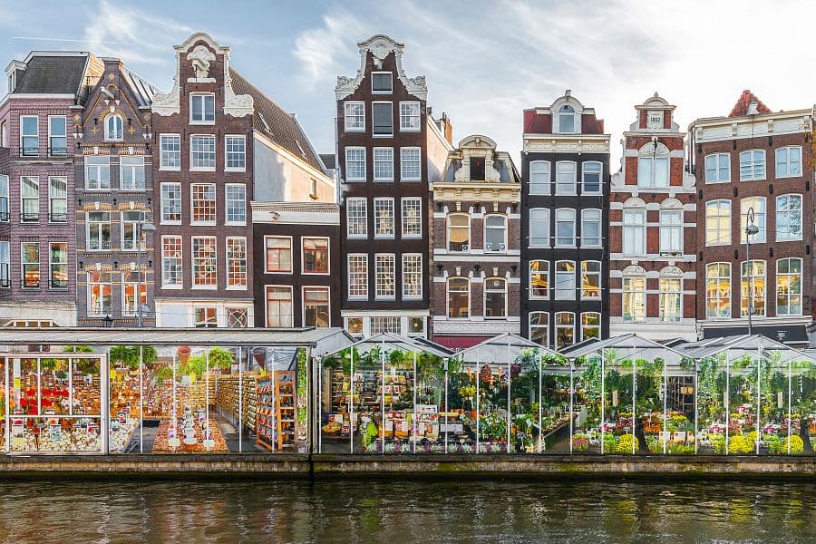 Holandské pobřeží na kole + AMSTERDAM + RODINNÁ KVĚTINOVÁ FARMA