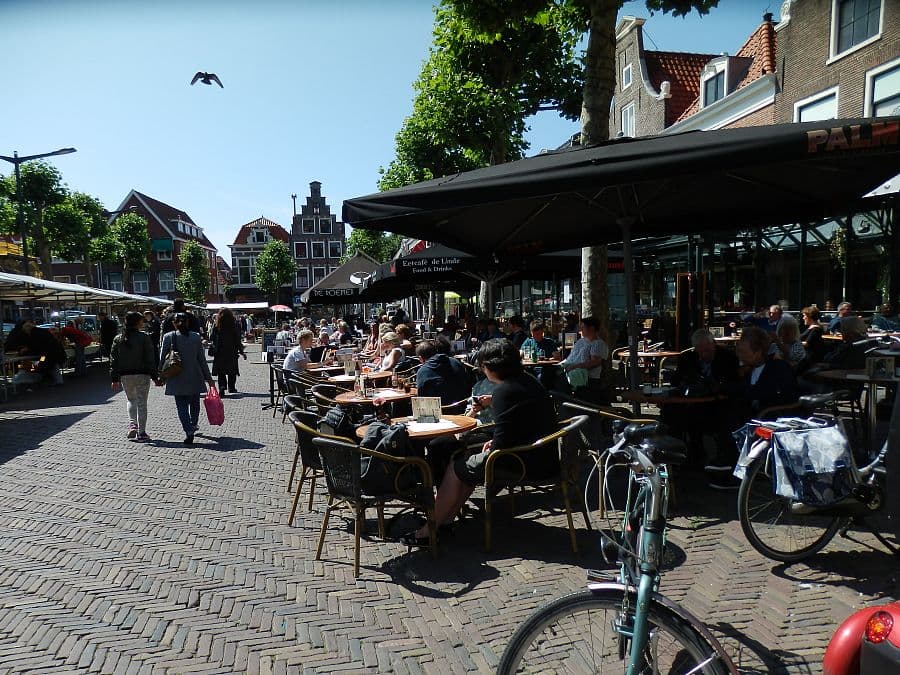Holandské pobřeží na kole + AMSTERDAM + RODINNÁ KVĚTINOVÁ FARMA