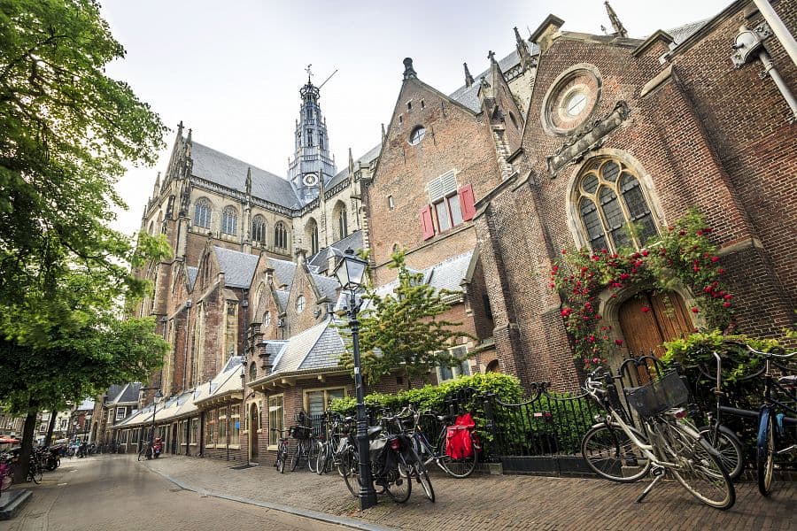 Holandské pobřeží na kole + AMSTERDAM + RODINNÁ KVĚTINOVÁ FARMA