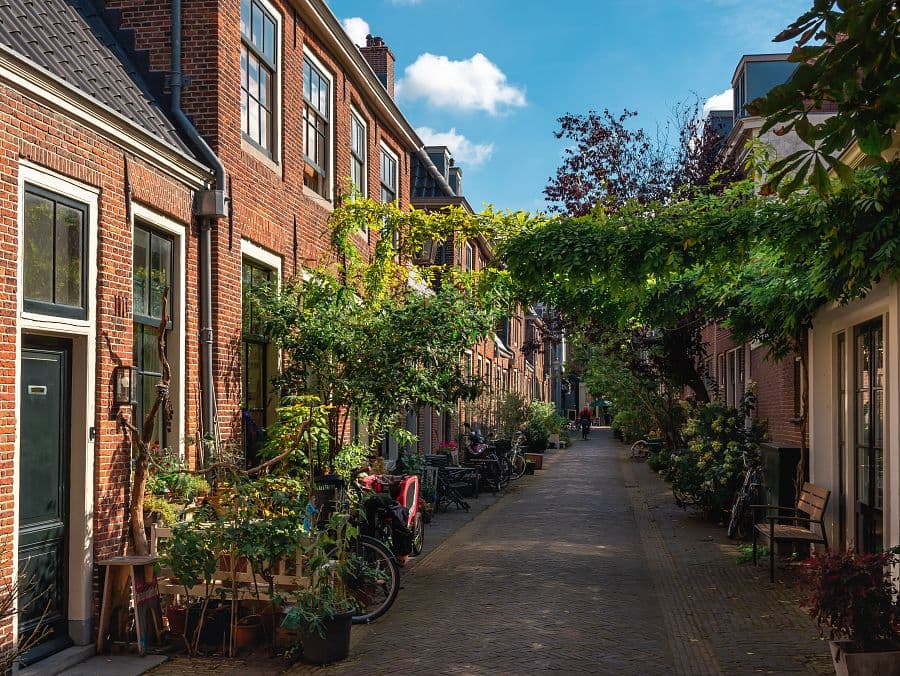 Holandské pobřeží na kole + AMSTERDAM + RODINNÁ KVĚTINOVÁ FARMA