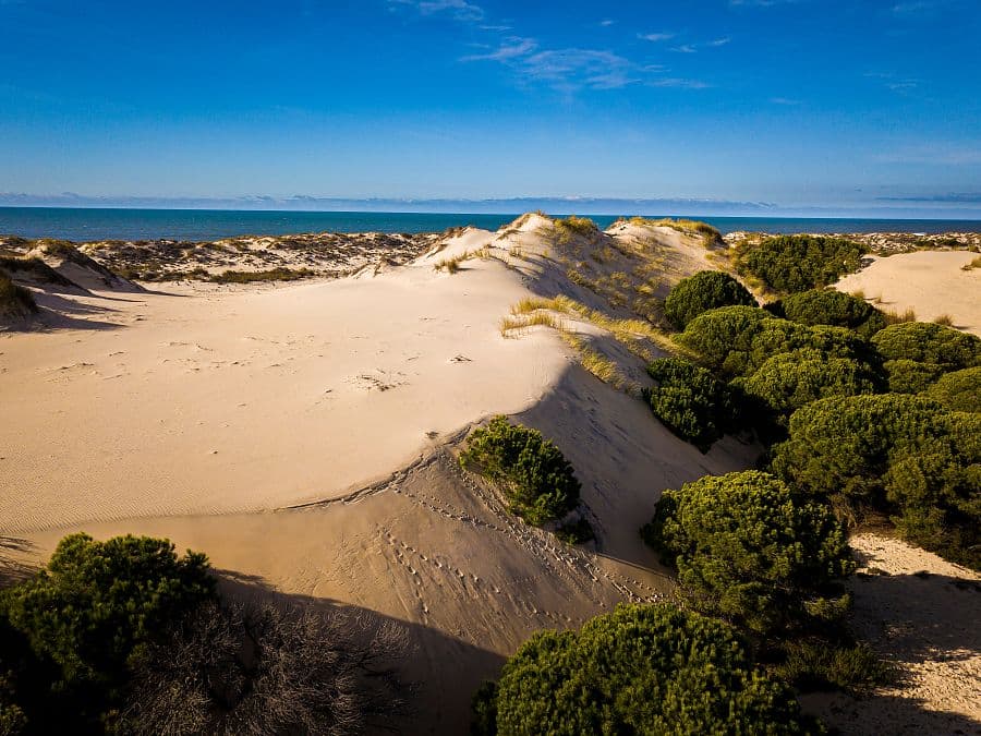 Cádizský záliv + NÁRODNÍ PARK DOÑANA + VINAŘSTVÍ OSBORNE S OCHUTNÁVKOU SHERRY