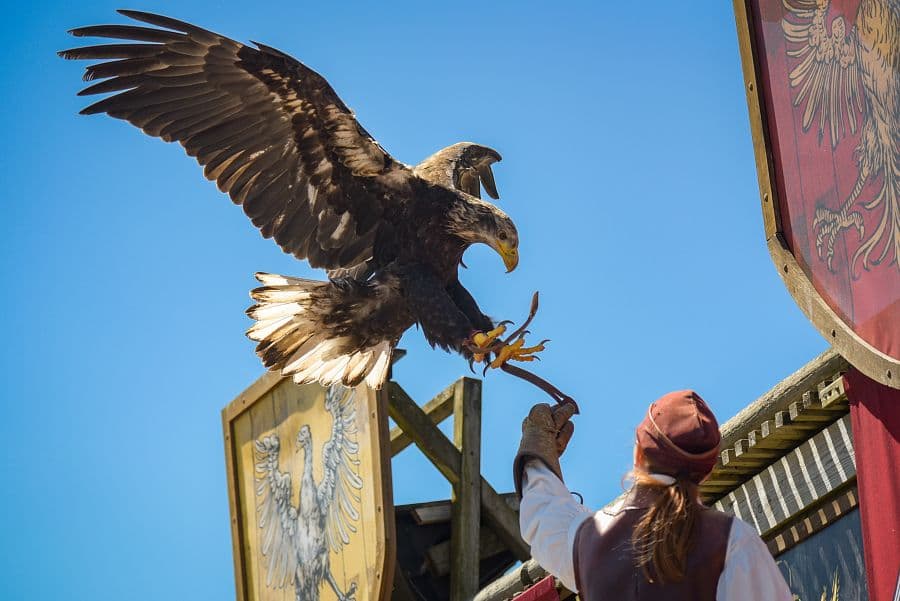 To nejlepší z La Rochelle + PEVNOST BOYARD + HISTORICKÝ ZÁBAVNÍ PARK PUY DU FOU