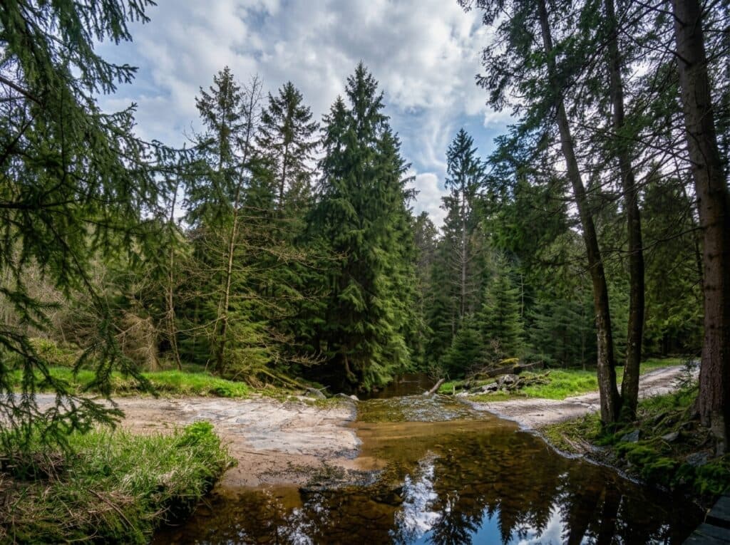 Cyklotrasa č. 2044 a 2045 ze Šindelové do Dolní Rotavy