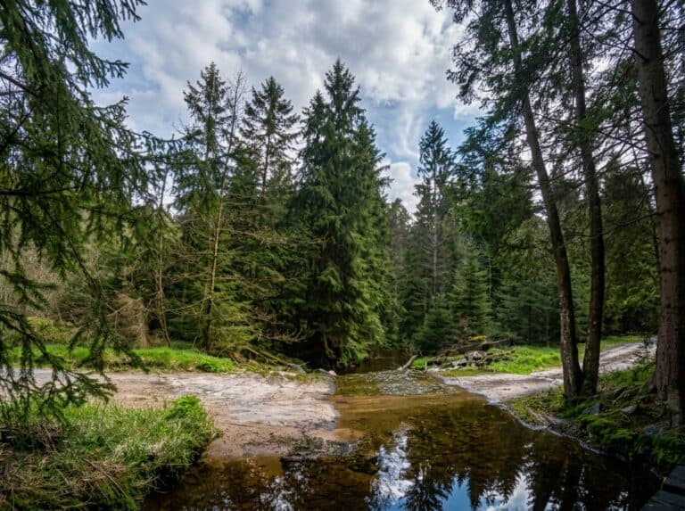 Cyklotrasa č. 2044 a 2045 ze Šindelové do Dolní Rotavy
