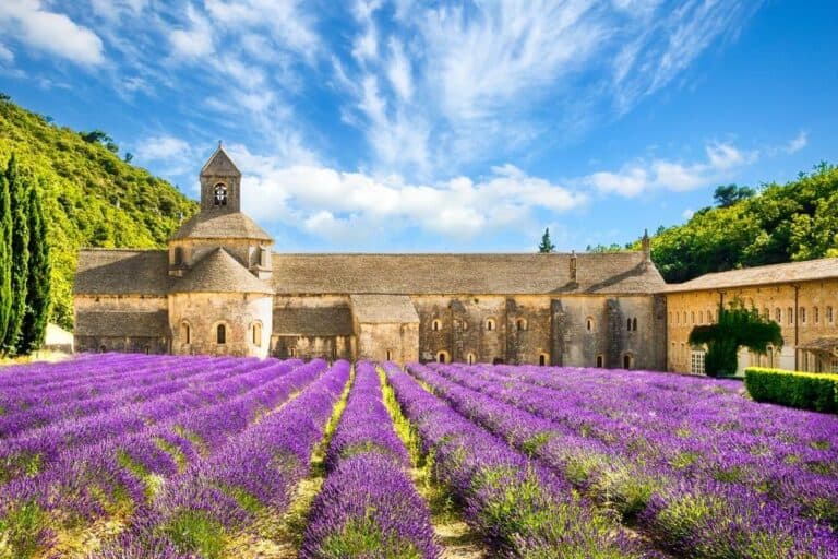 Levandulová Provence